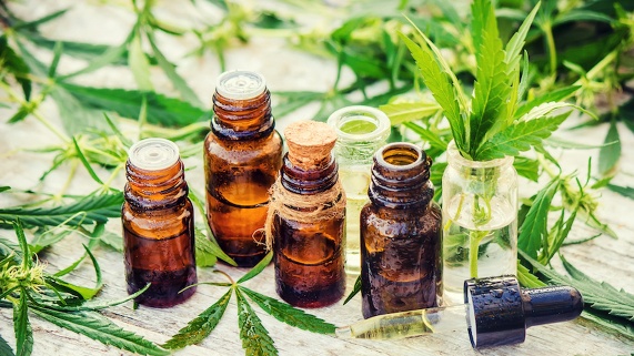 Caribbean Dilemma - Marijuana, Medicine, & Mental Health: Approving a good green ‘herb’ or a‘gateway’drug?